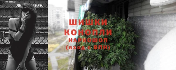 mdpv Каменка