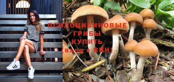 PSILOCYBIN Инта