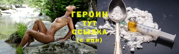 PSILOCYBIN Инта