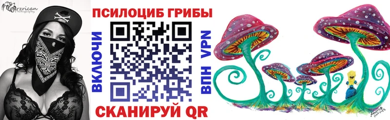 Купить где  Нестеровская  Псилоцибиновые грибы ЛСД 